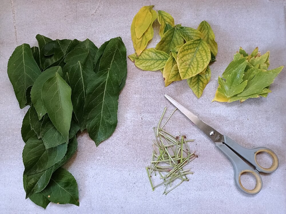 Material für Blumen aus Laub