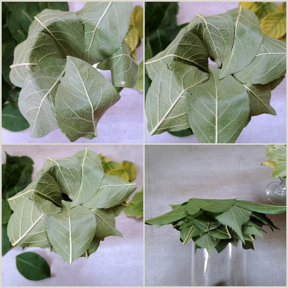 Blätter für Blüten auf Glas schichten