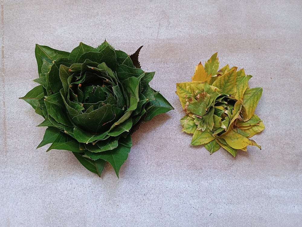 fertige Blumen aus Laub in zwei Farben und Größen